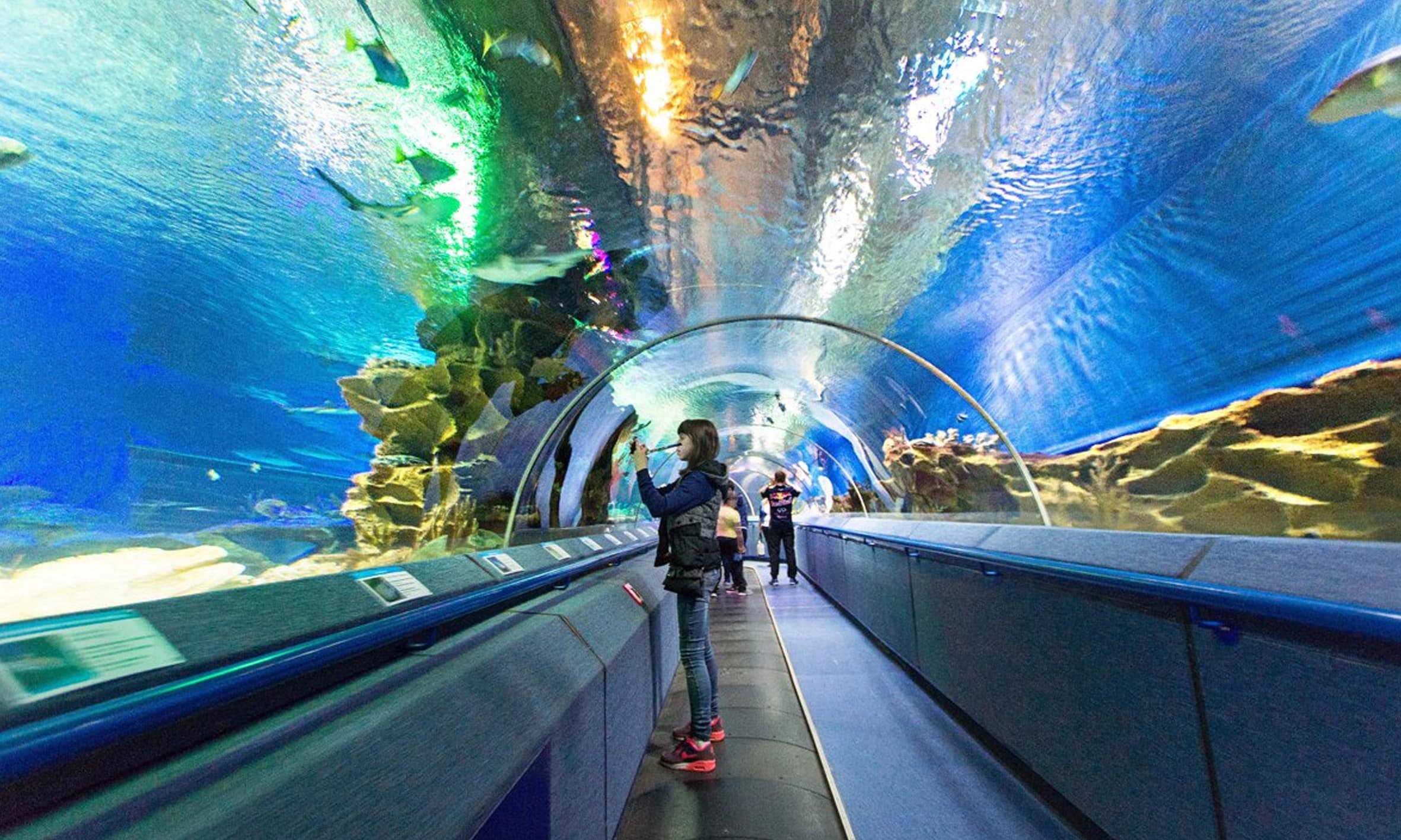 Прогулка по зимнему Петербургу для семей с детьми 