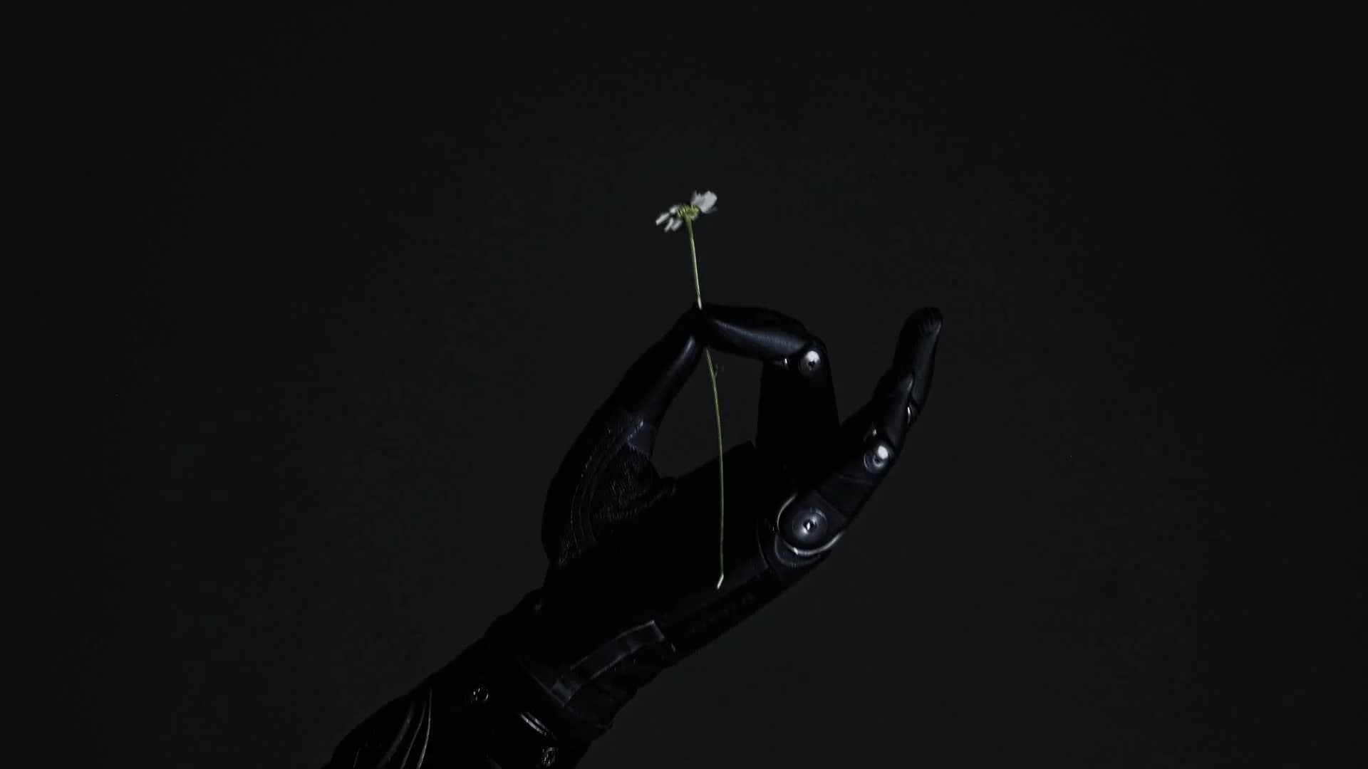 Авторские протезы